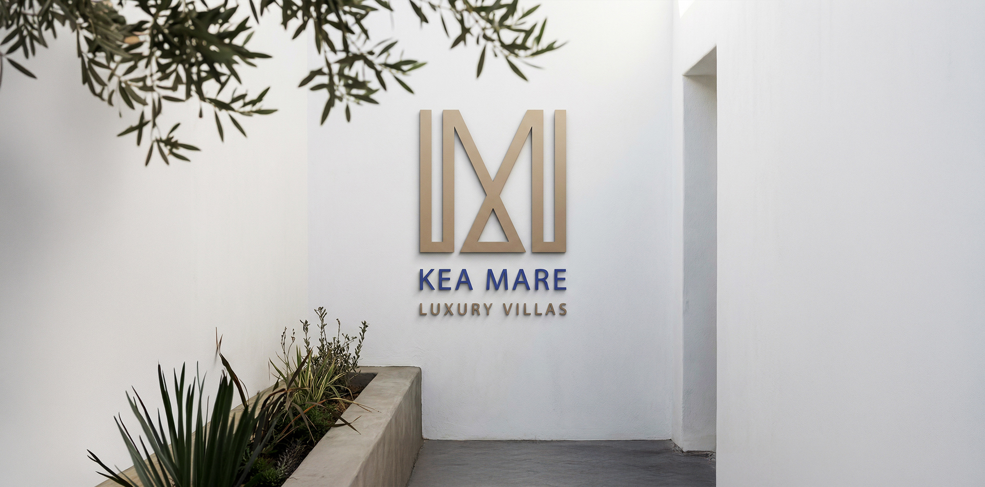Brand Identity
